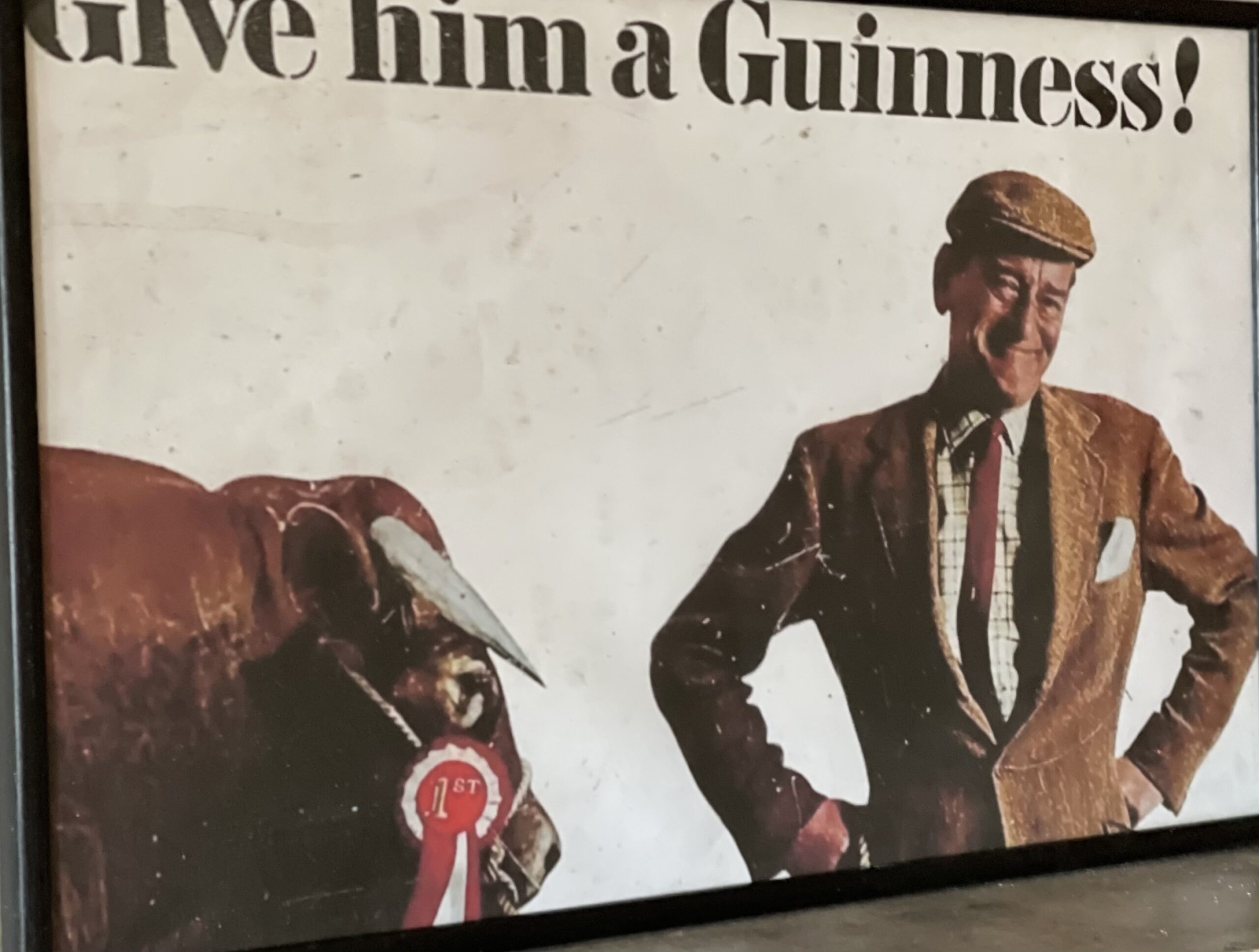 Guinness.Pure Genius Advert - The Irish Pub Emporium
